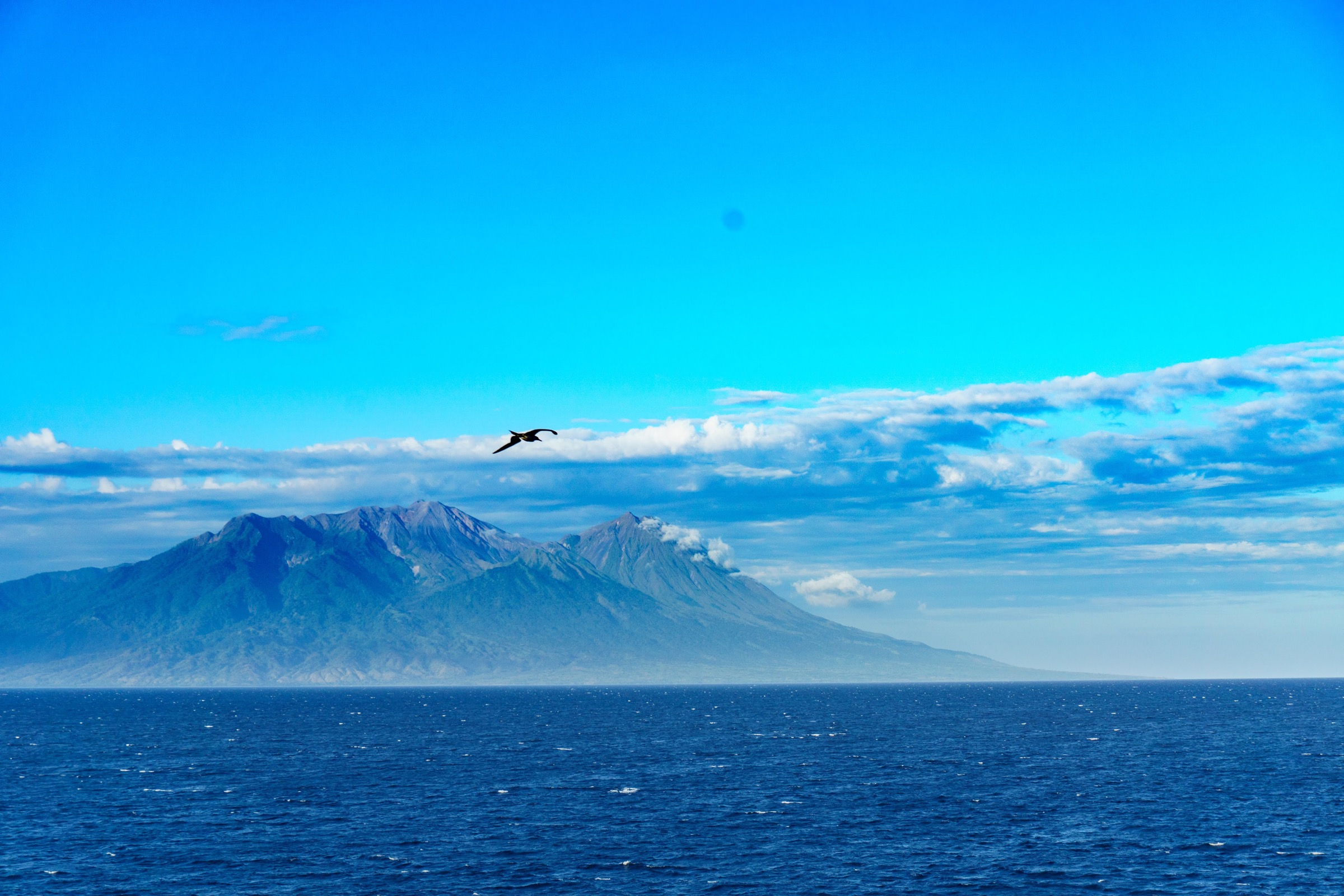 Sangeang Api volcano rising above the sea